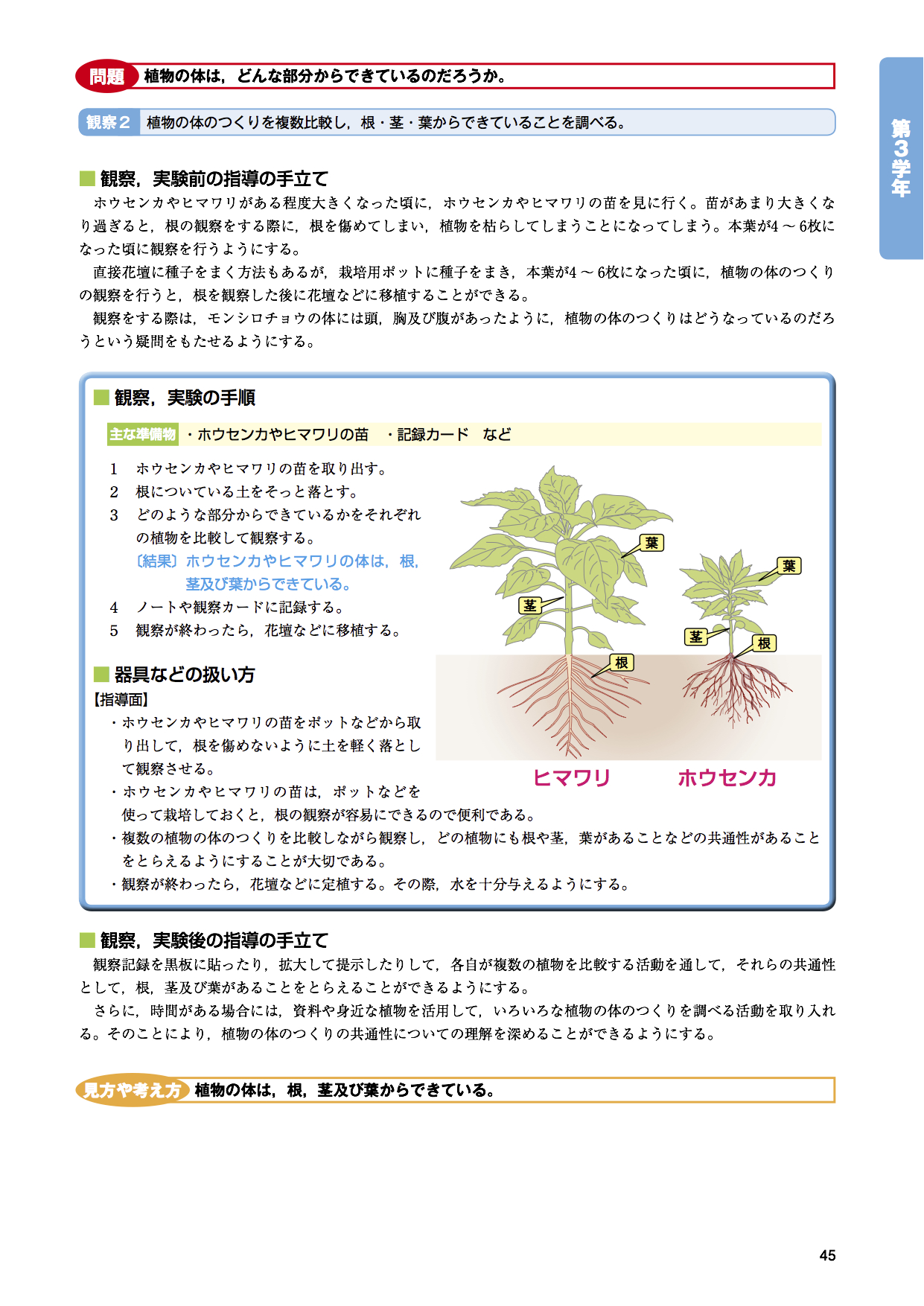 昆虫と植物（理科実験 指導案） | EDUPEDIA