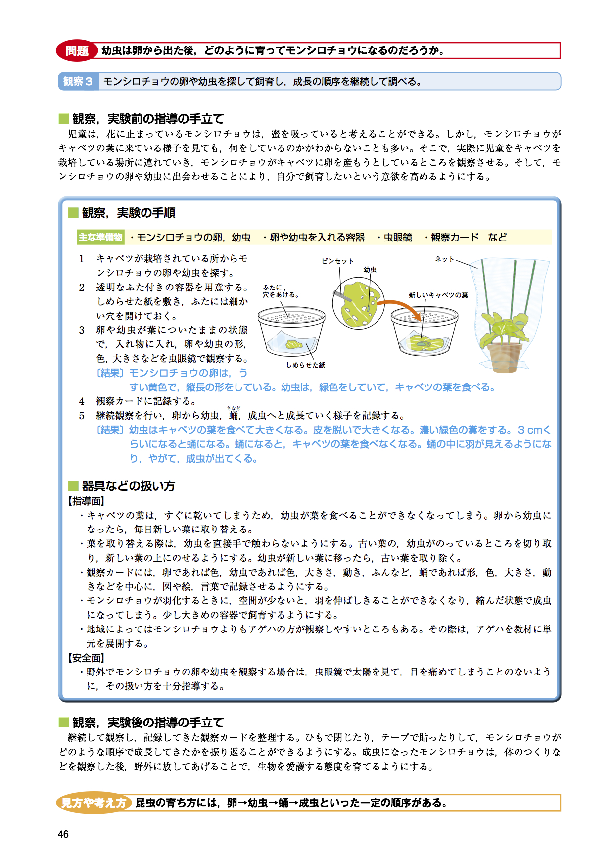 昆虫と植物（理科実験 指導案） | EDUPEDIA